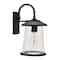 Hello Honey® Robert Stevenson Lighting Hudson 14.5" Distressed Zinc Metal & Seedy Glass Outdoor Light